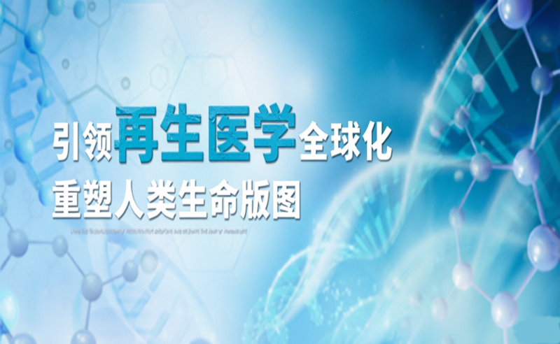 轮播图